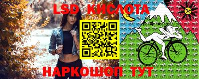 ALPHA PVP Кимры