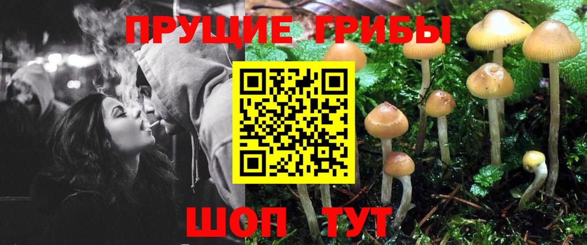 Благовещенск  Галлюциногенные грибы Psilocybe  Галлюциногенные грибы Psilocybine cubensis  Вход с VPN 